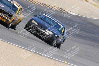 media/Oct-14-2023-Lucky Dog Racing (Sat) [[cef75db616]]/Turn 12 Exit-Bowl Backside (230pm)/